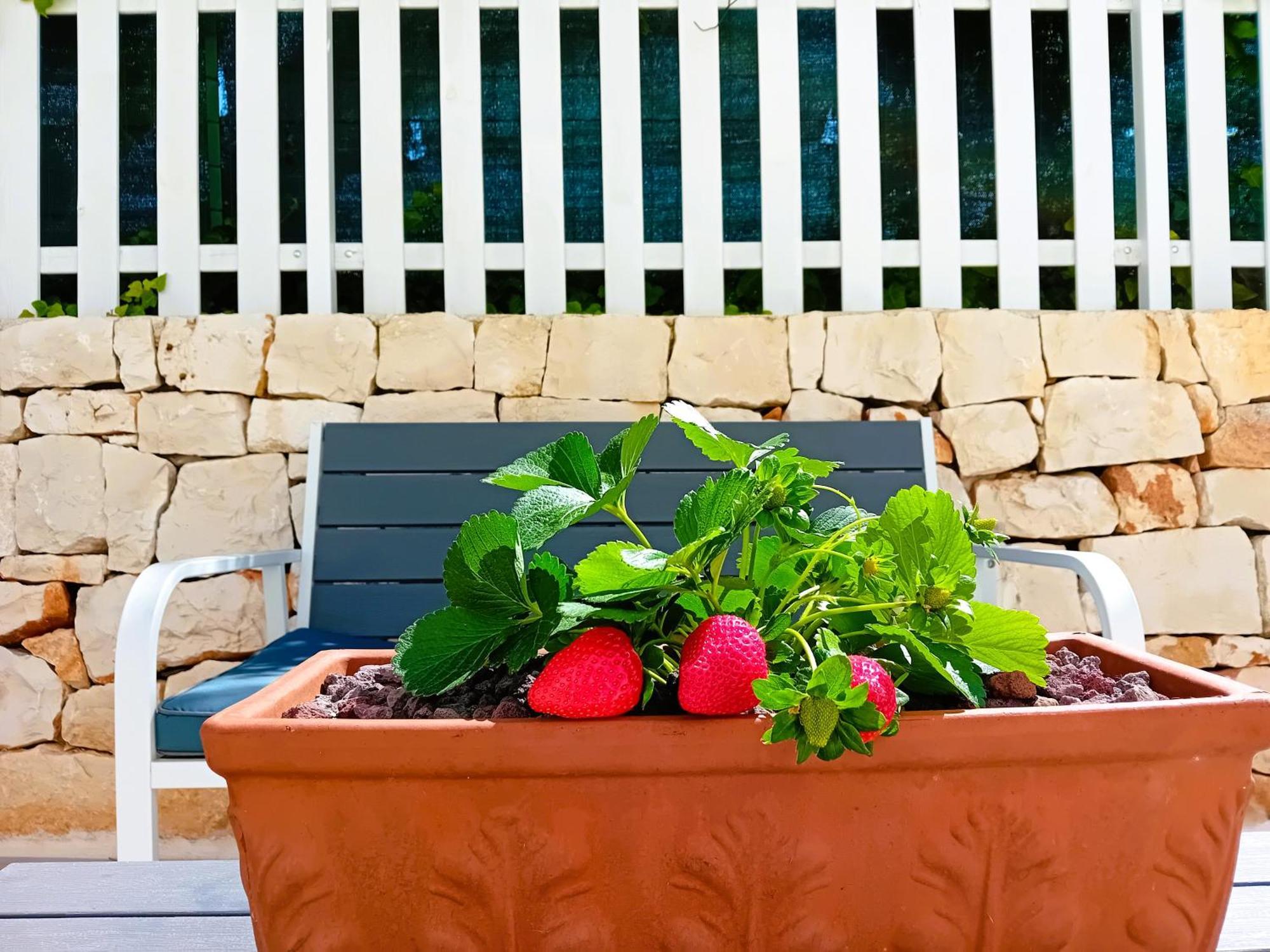 Pietra Di Puglia Hotell Monopoli Exteriör bild