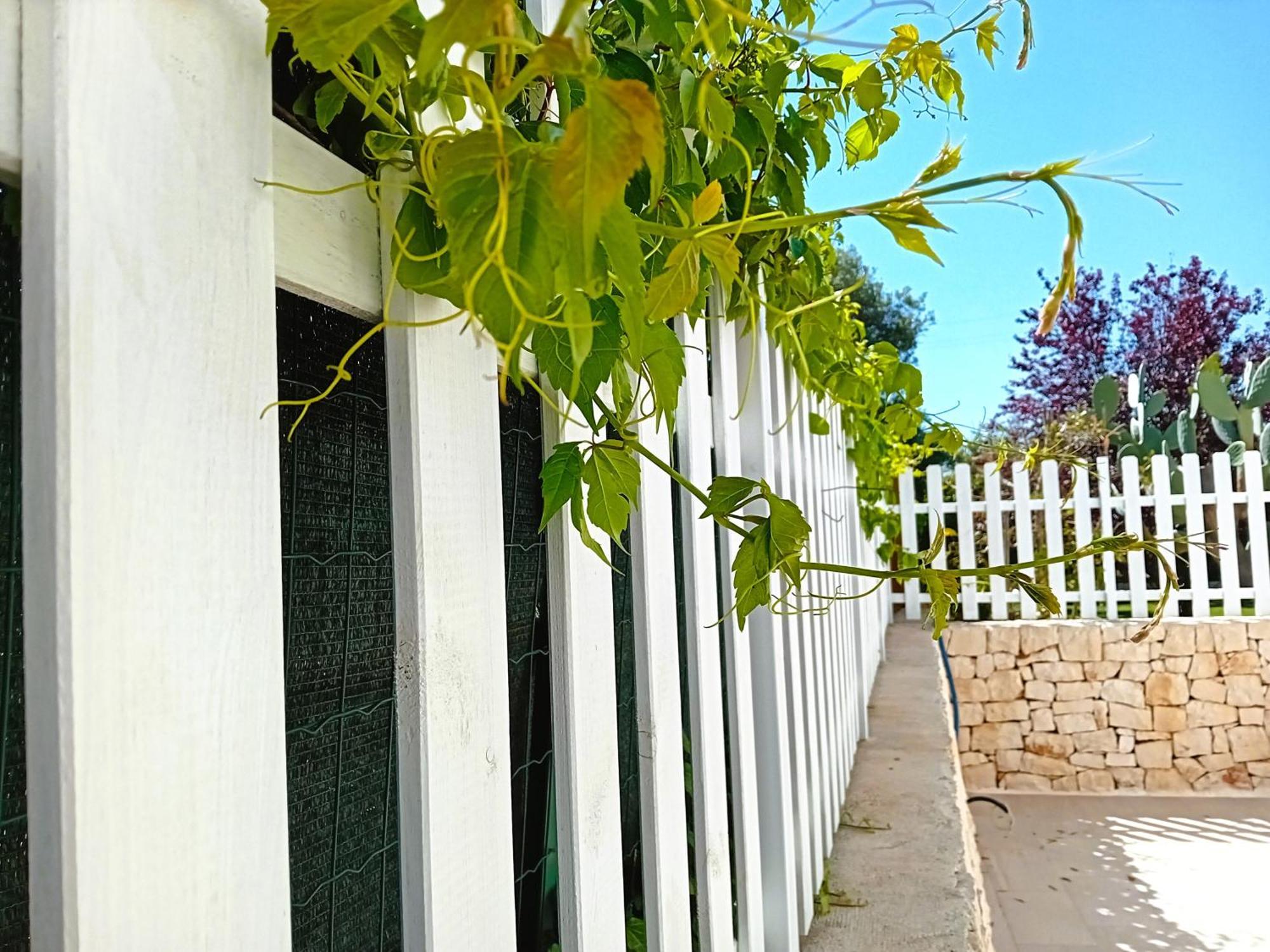 Pietra Di Puglia Hotell Monopoli Exteriör bild